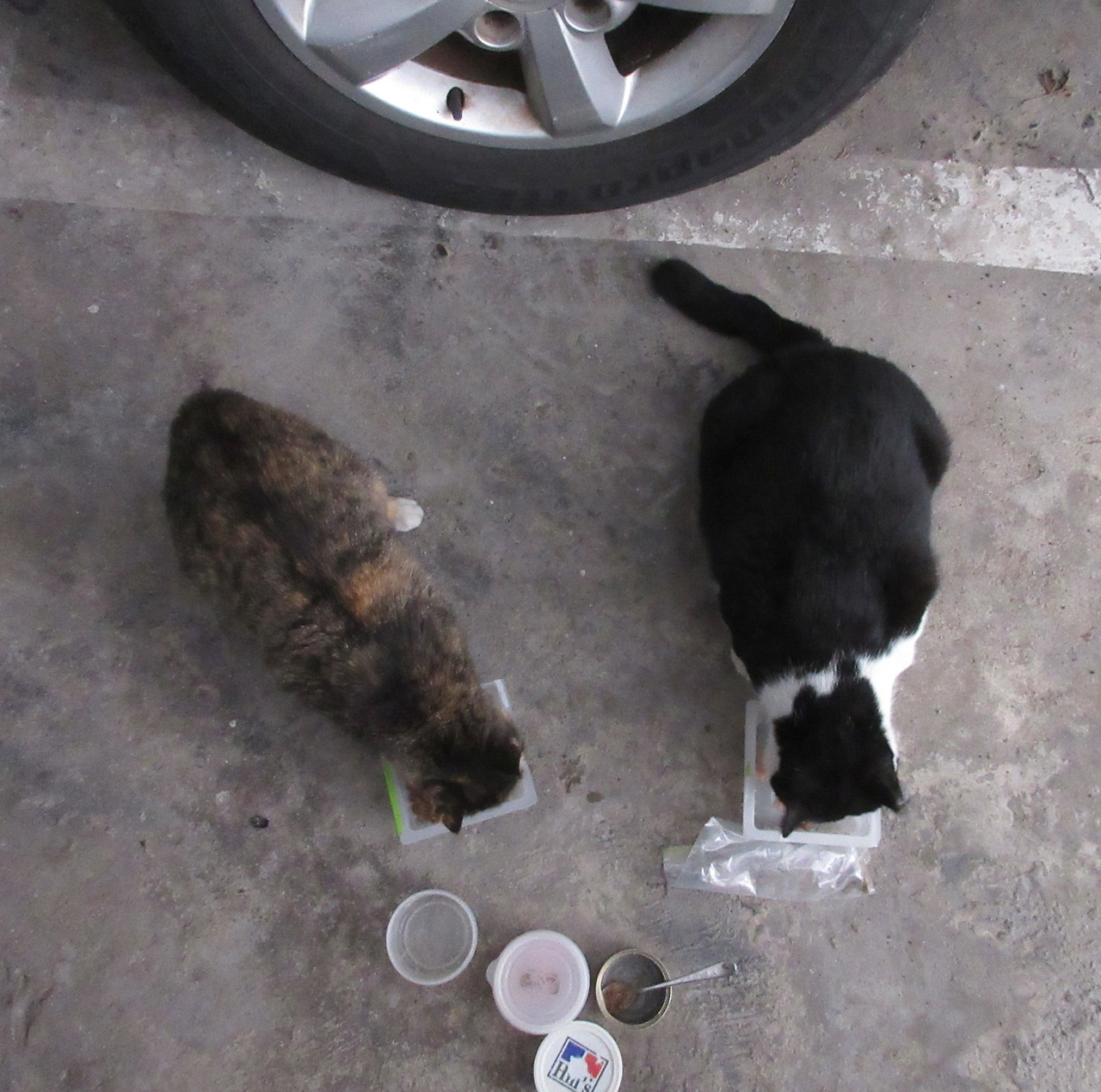 1은애_작은귀_겨울살3_231105 (88).jpg