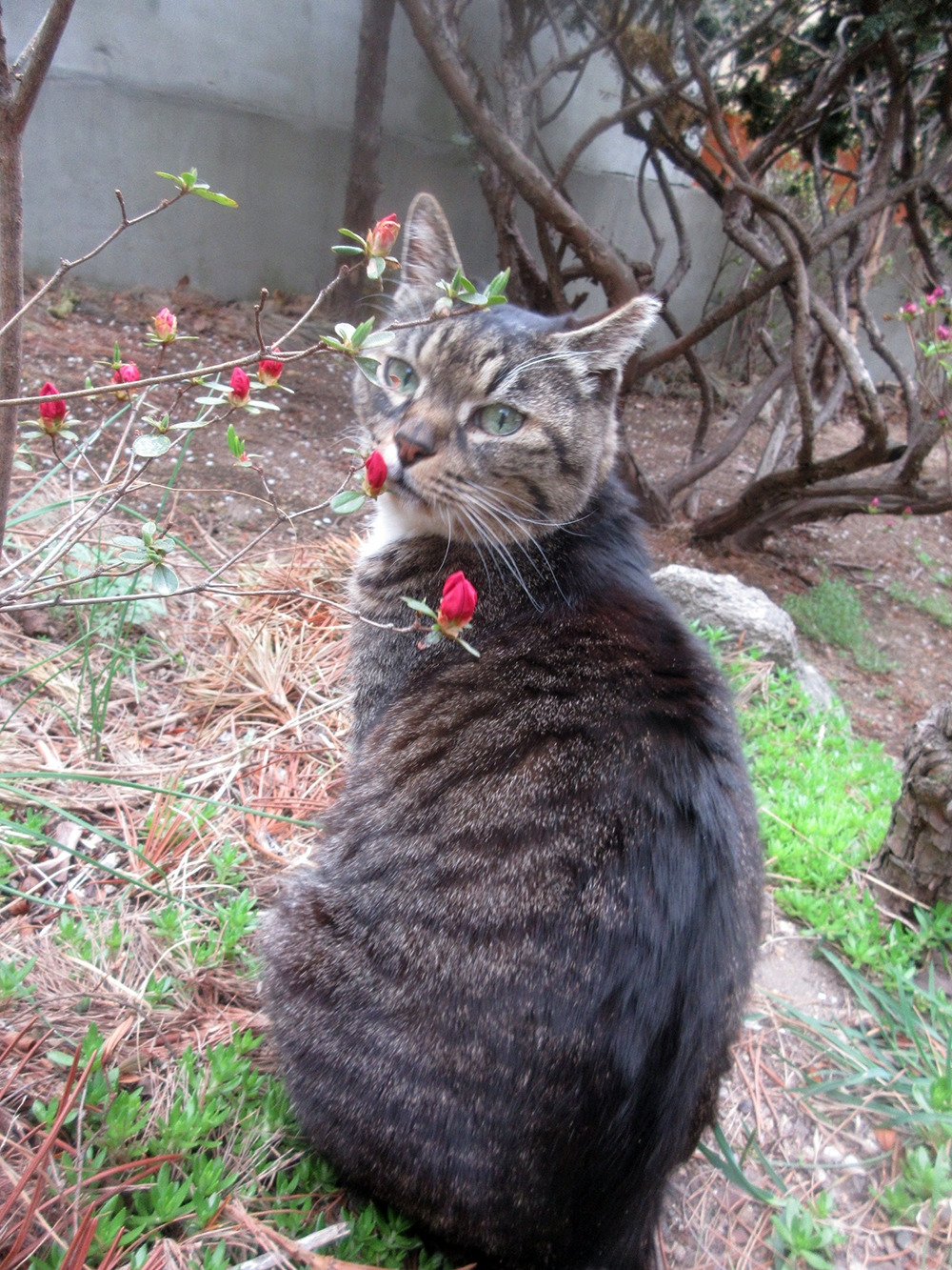 1_목걸이_한심해250416 (18).jpg