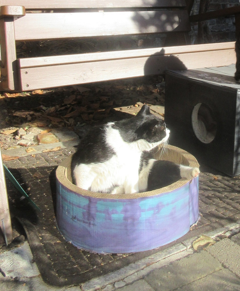 1_목걸이_은애_버드워칭3_241222 (35).jpg