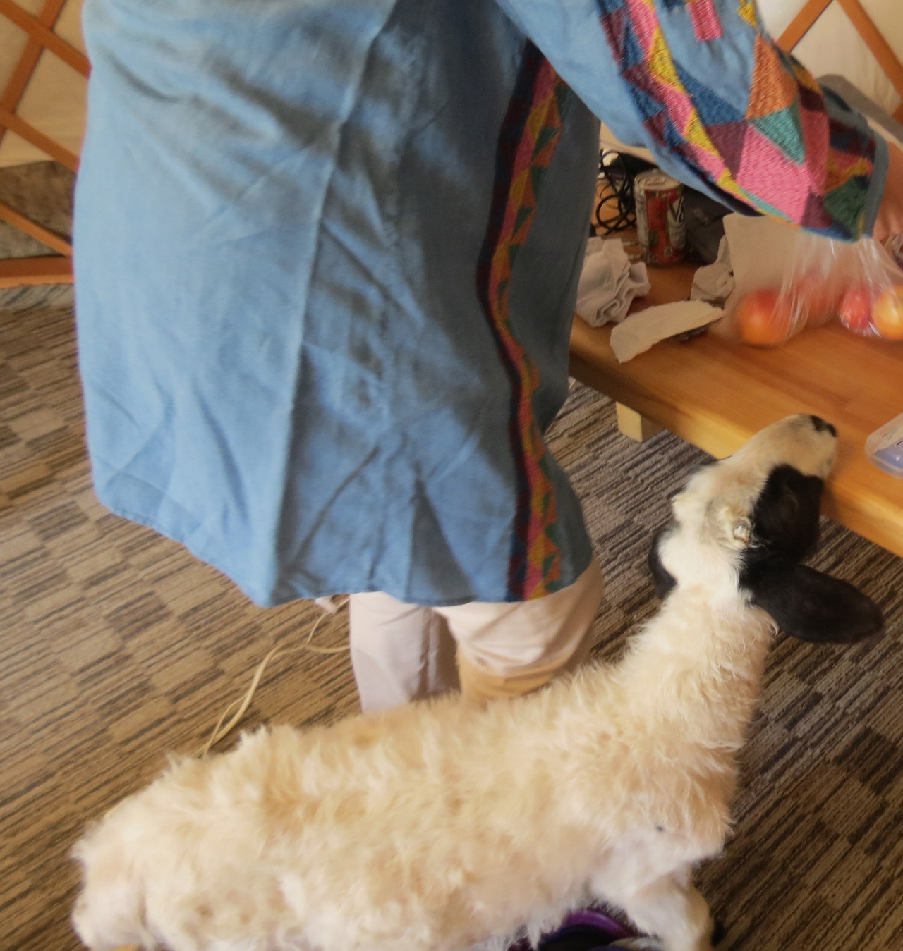 1히어로_아기양3_220822 (1).jpg