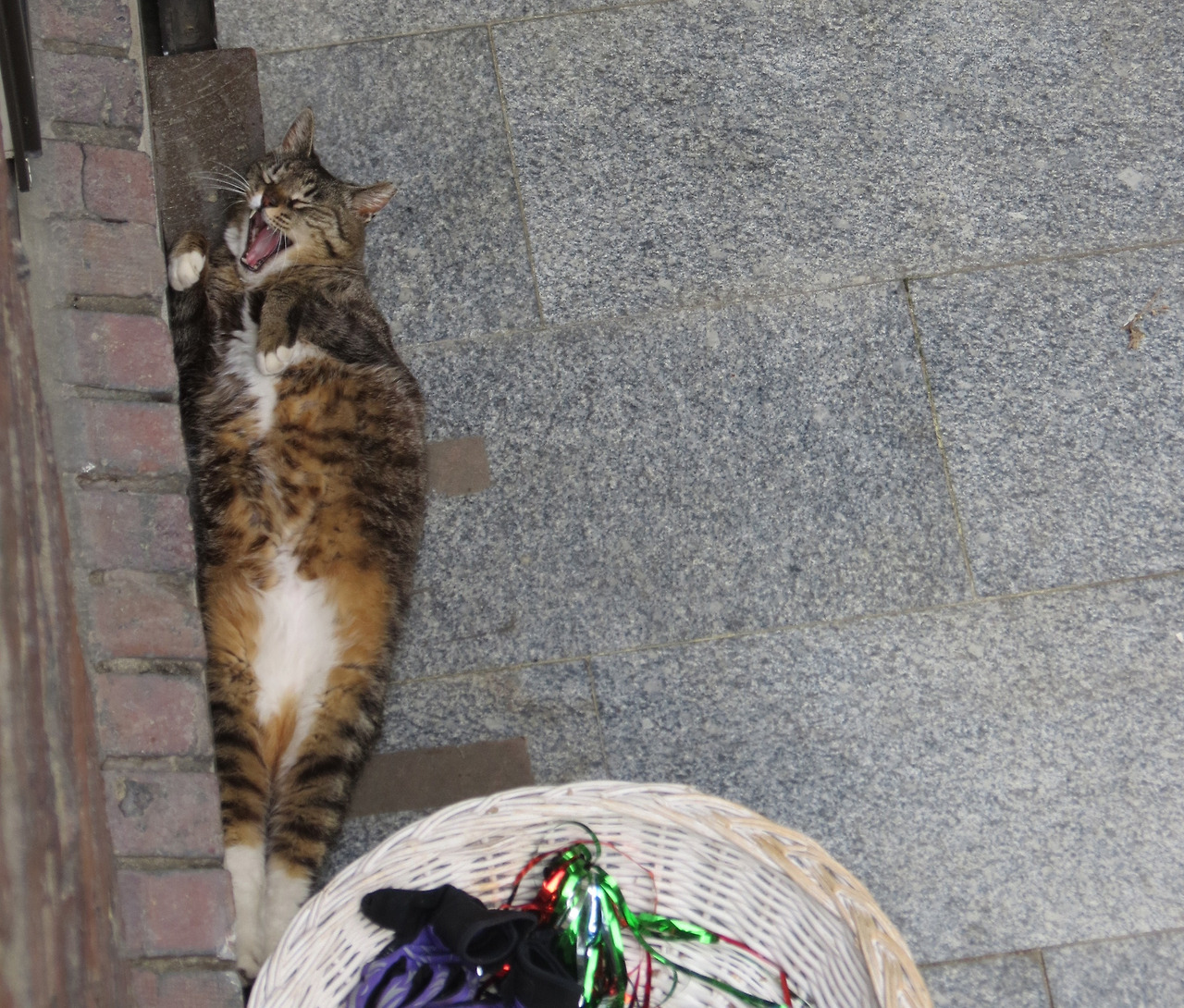 목걸이_220513 (42)_2.jpg