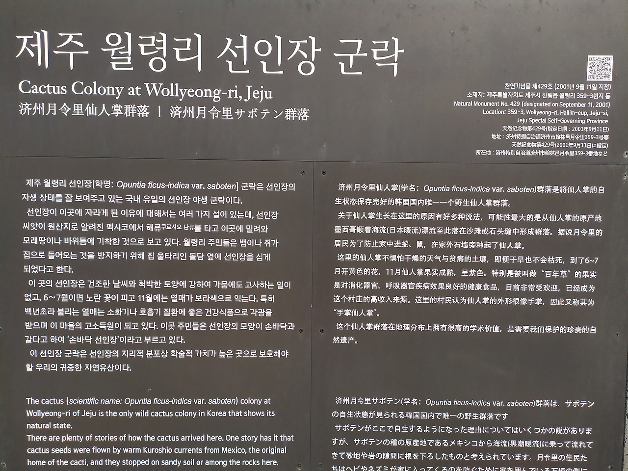 걸어가야 보이는 도보여행의 풍경(12).jpg