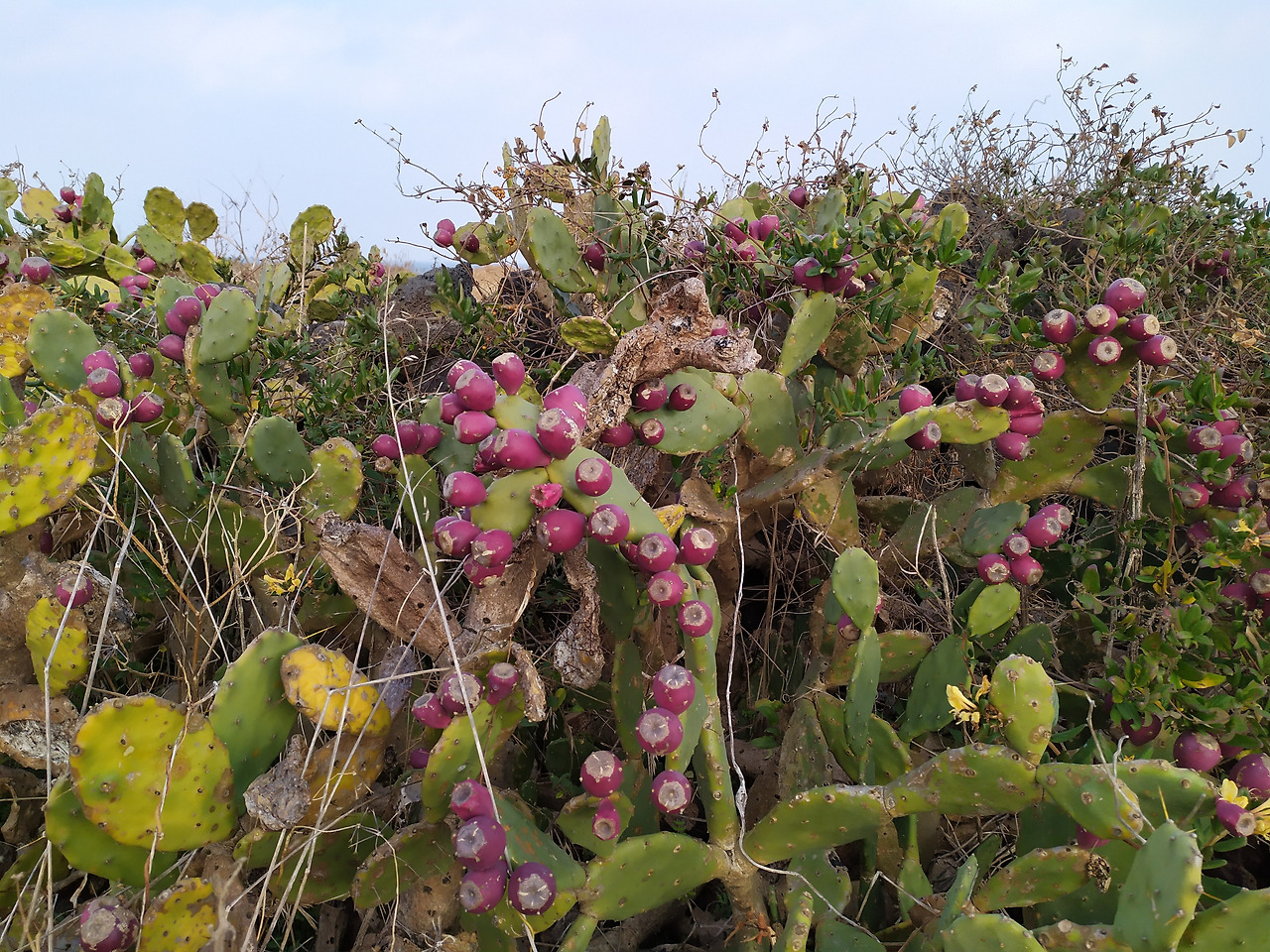 걸어가야 보이는 도보여행의 풍경(11).jpg