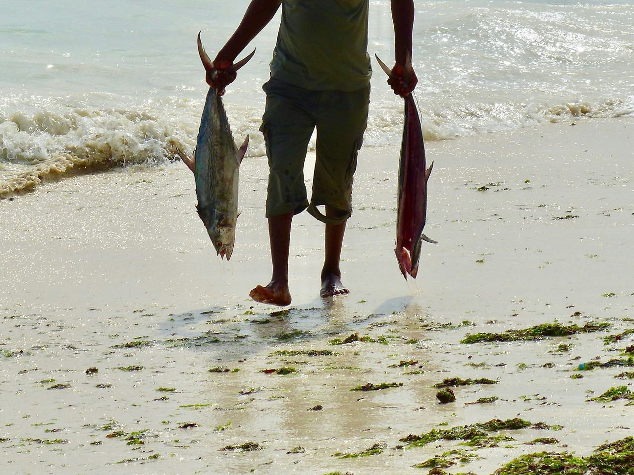 philippe-krief-pRJCAe5hMqs-unsplash (1).jpg