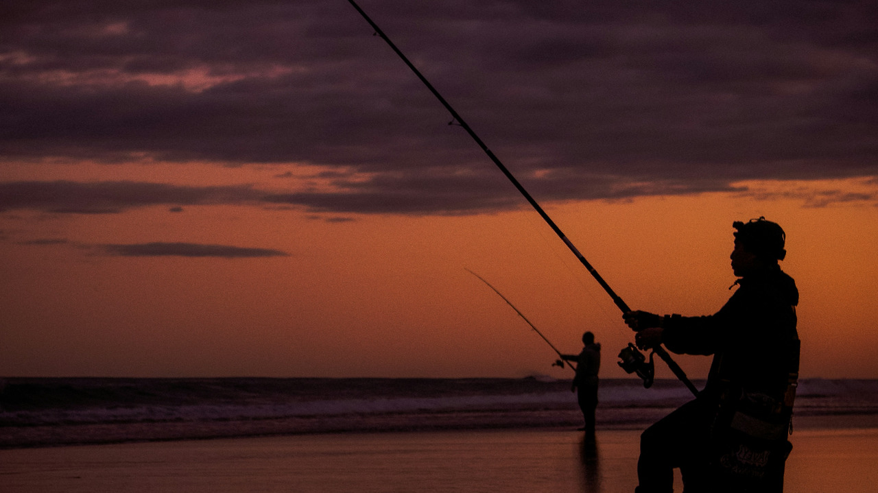 matias-ulloa-P0m2G9pTNAI-unsplash (1).jpg