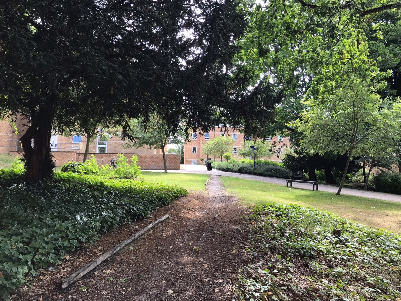 190720 짐과 날씨.jpg