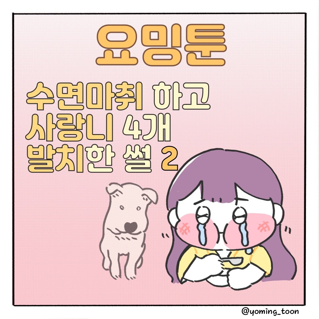 KakaoTalk_20220725_132633874.jpg