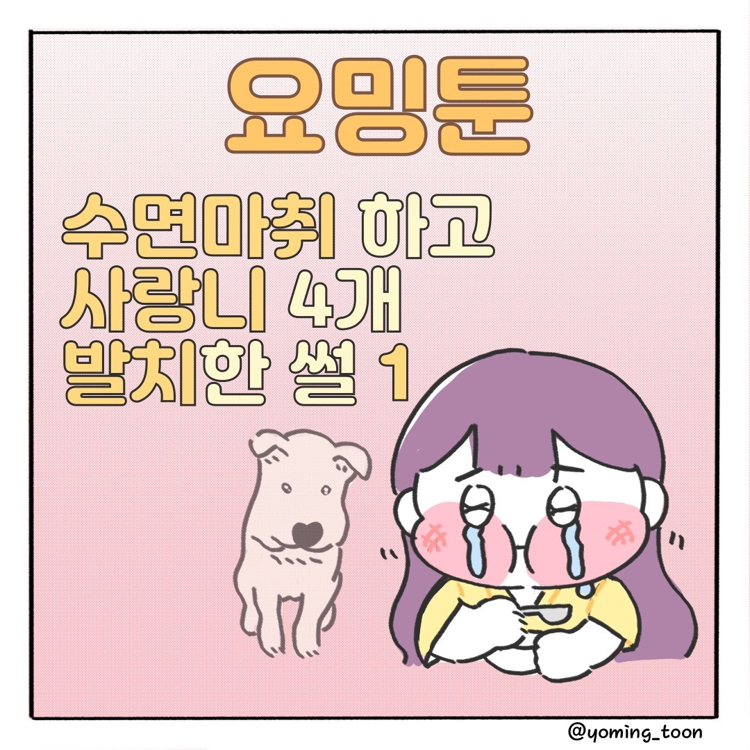 KakaoTalk_20220718_222027195.jpg