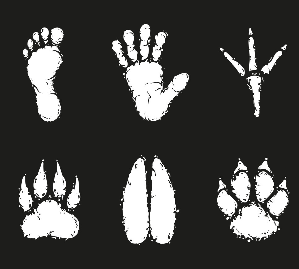 1606.m00.i124.n010.S.c12.281716955_Human_foot_print_and_animal_footprint_vec.jpg