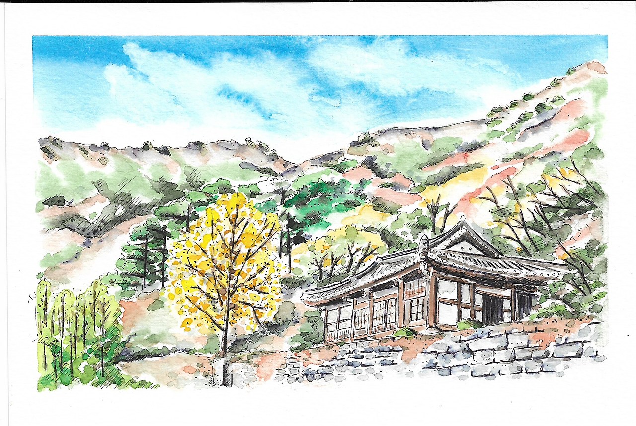 20 청련암 은행나무.jpg