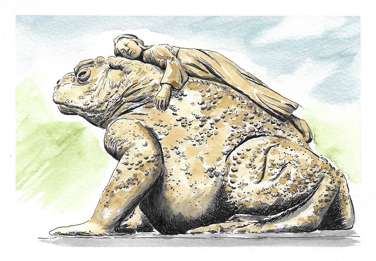 41 섬진강 두꺼비.jpg