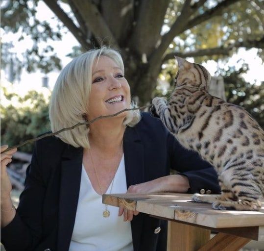 다운로드 (17).jpg