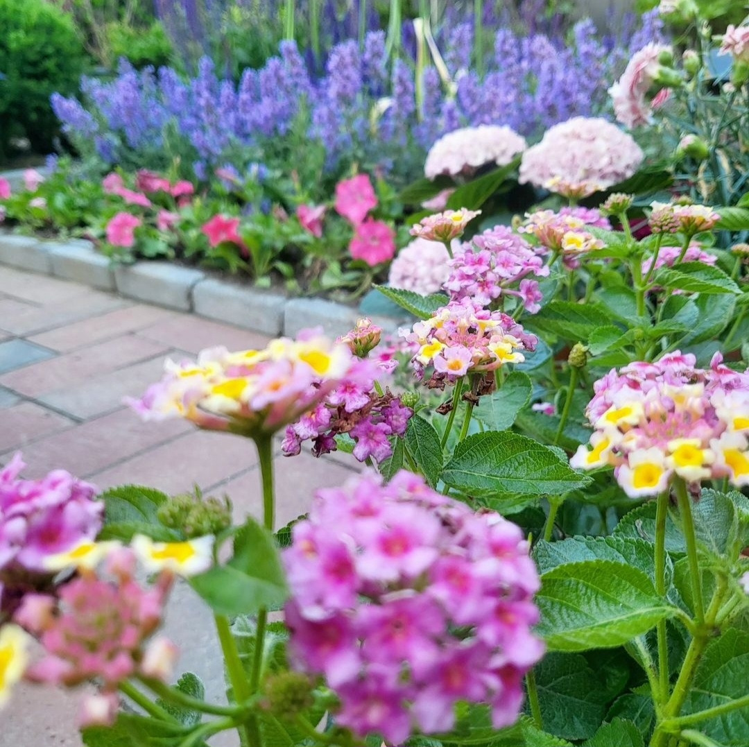 Screenshot_20240405_113047_Instagram 1.jpg