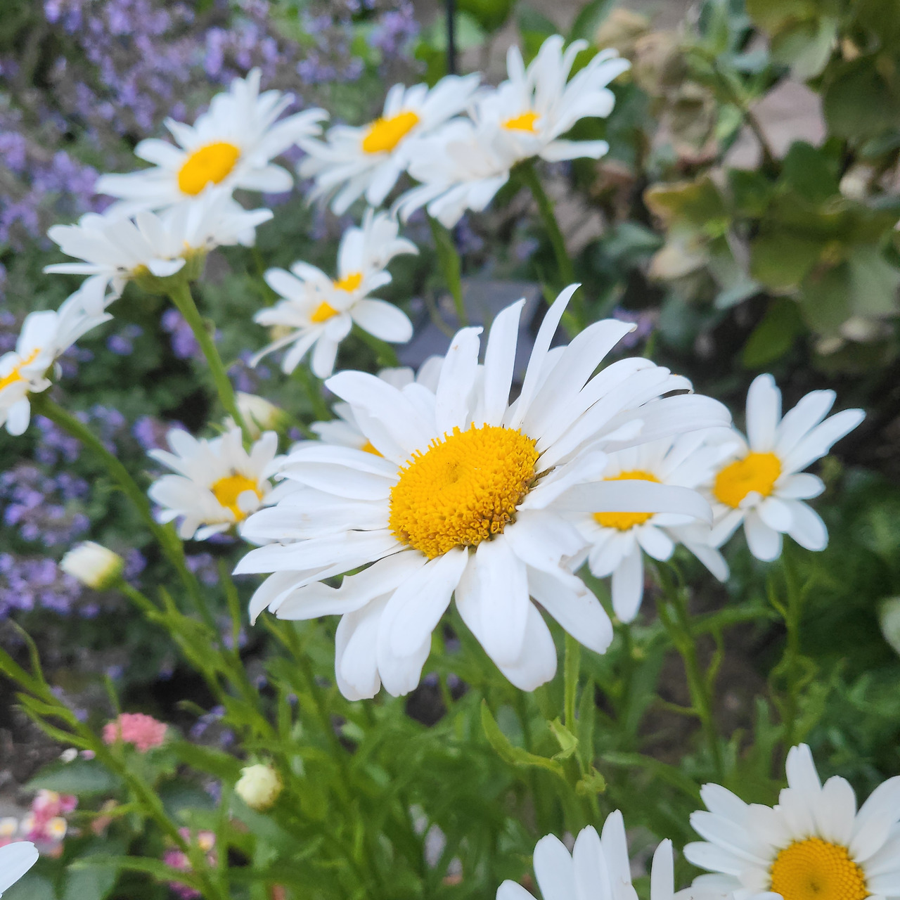 20240615_194405 1.jpg