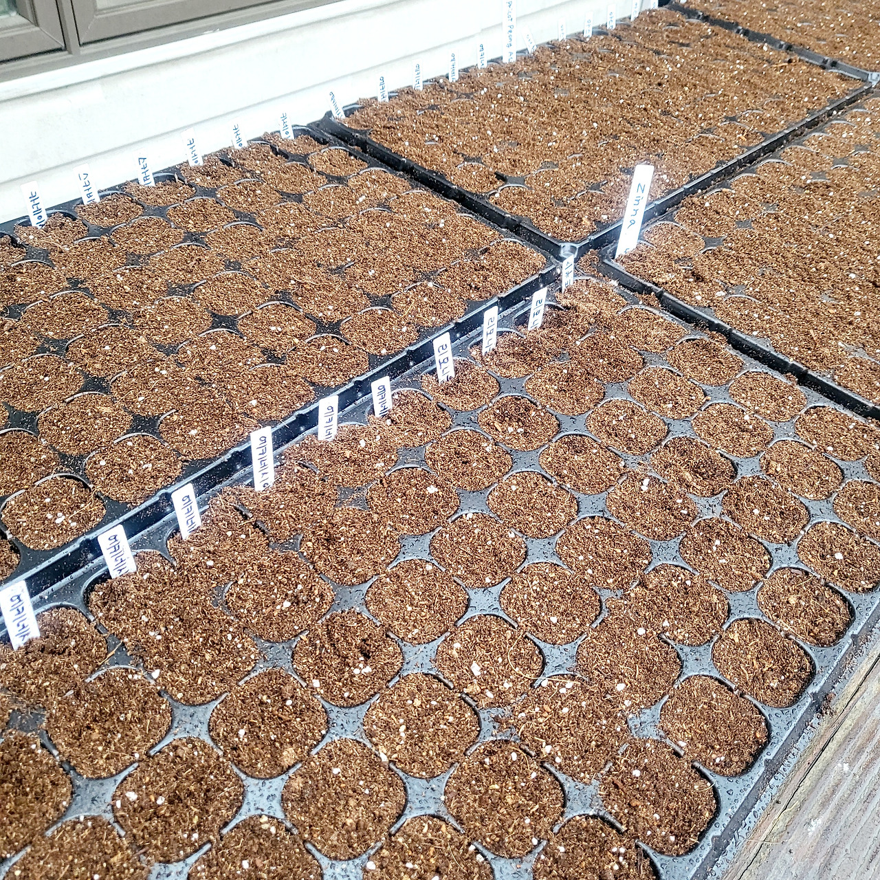 20240403_163602 1.jpg