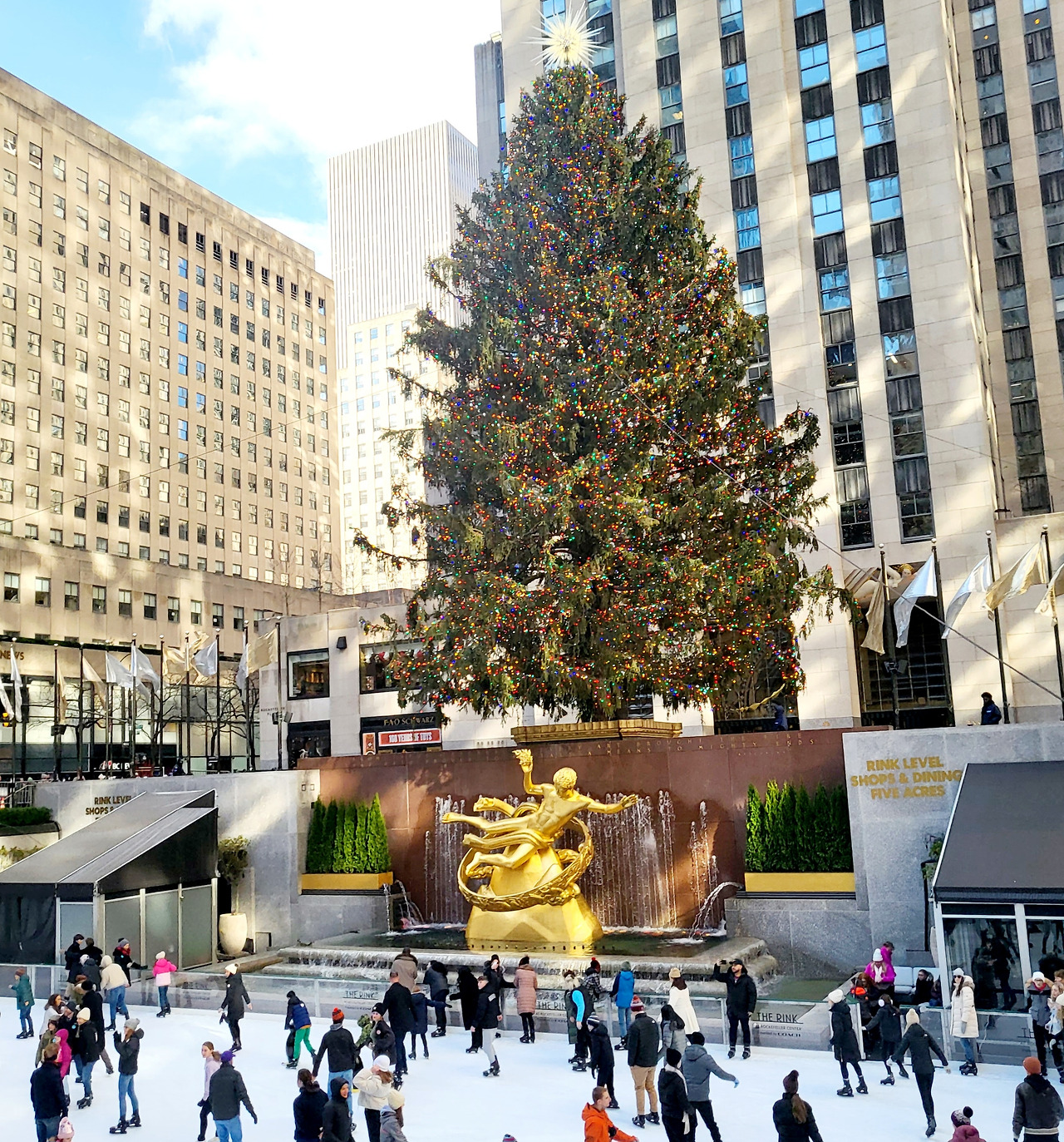 20221219_114755 1.jpg