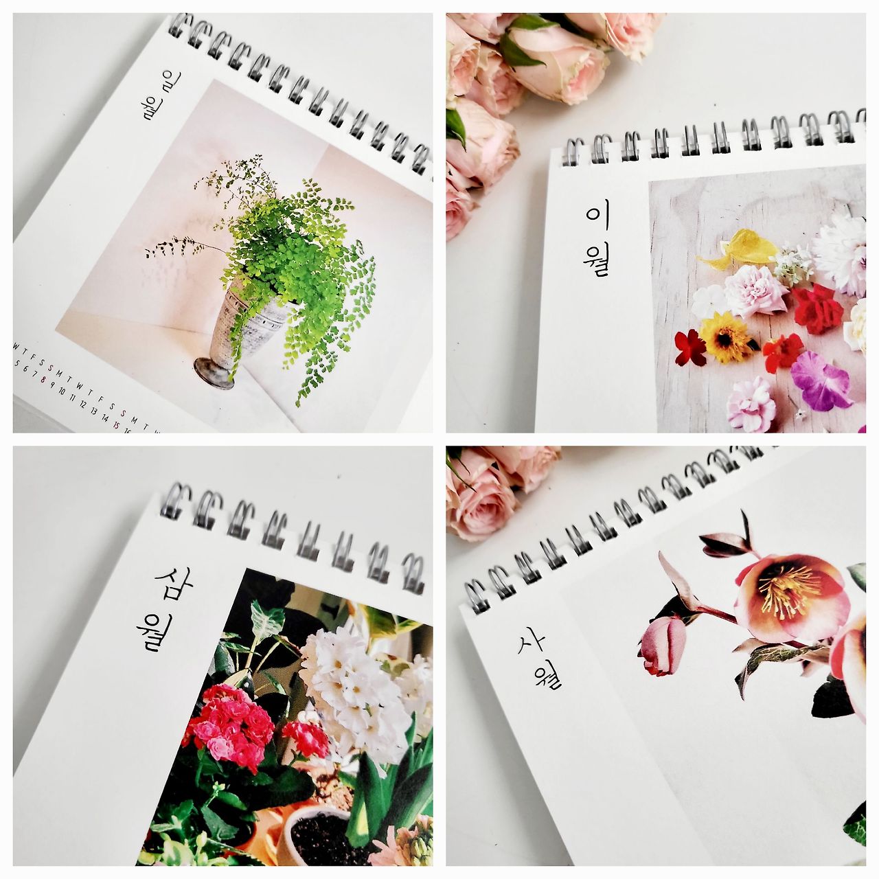 20221224_101017 1.jpg