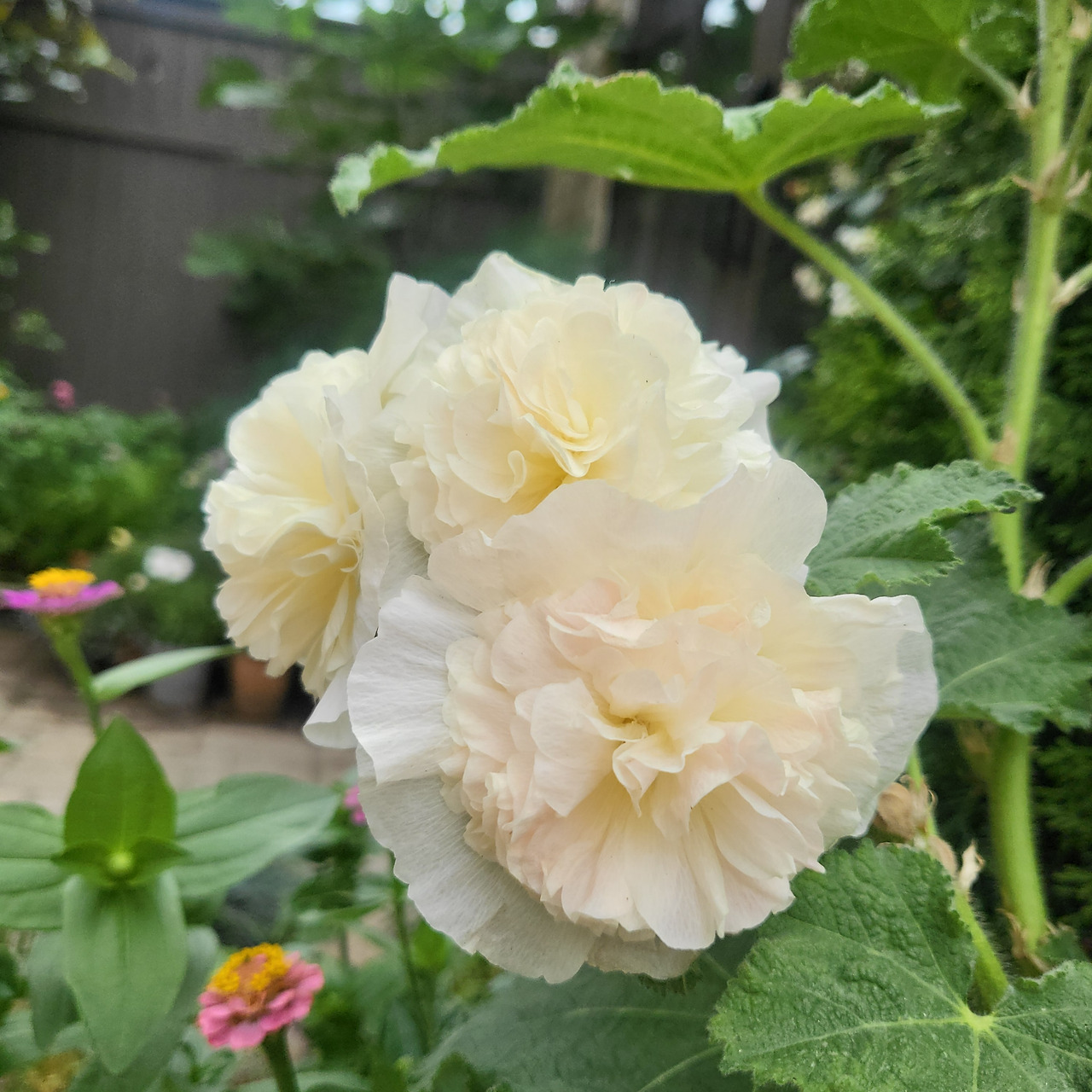 20240623_181605 1.jpg