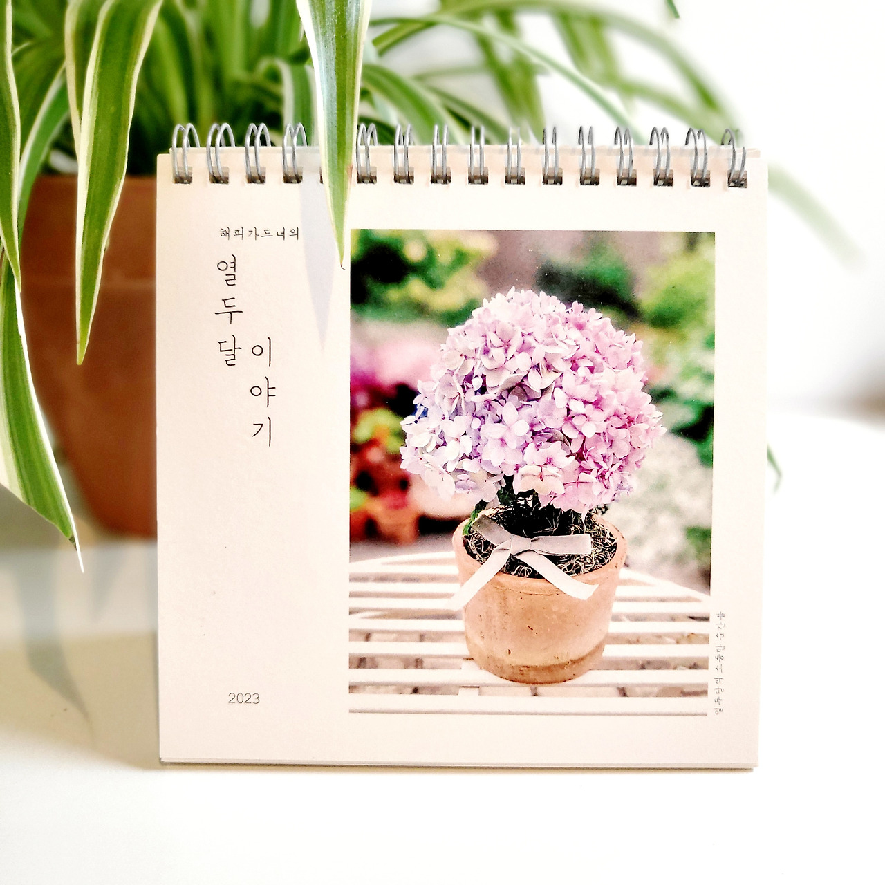 20221210_191305 1.jpg