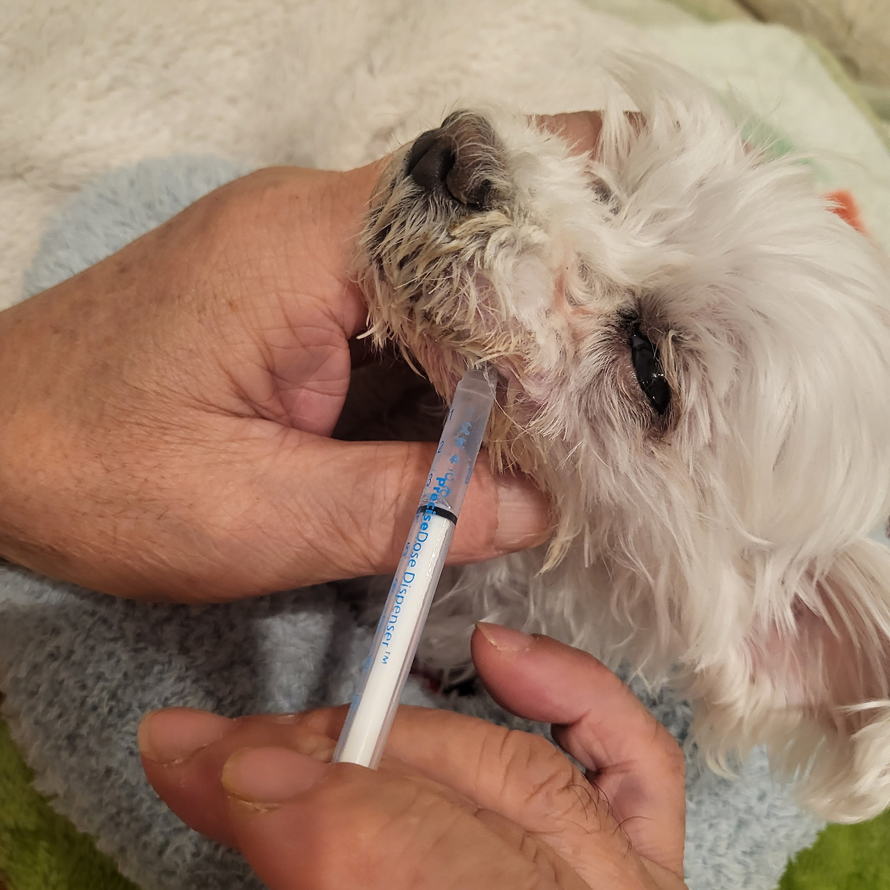 20231129_182846 1.jpg