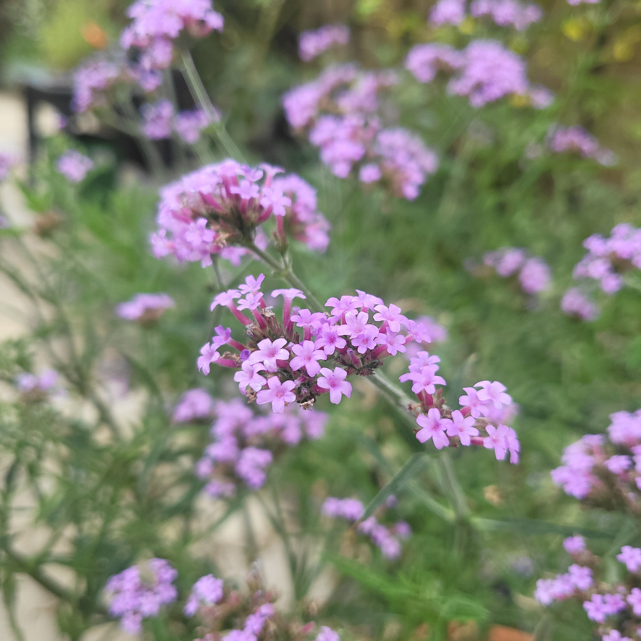 20240622_183258 1.jpg