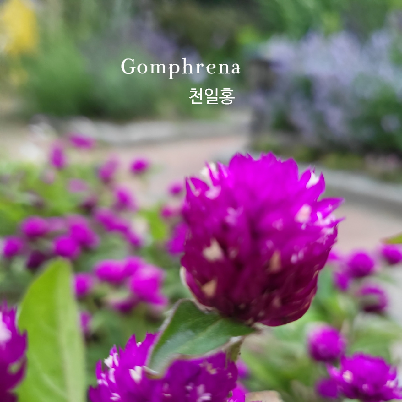 B612_20240625_085726_655 1.jpg