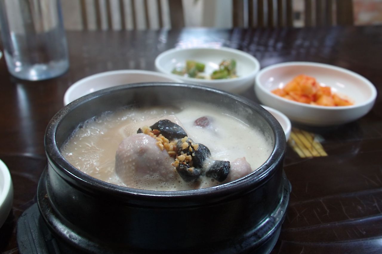 지호삼계탕 살아있는 닭살.jpg