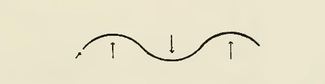 Fig. 41 Curve--geometric wave-like.jpg