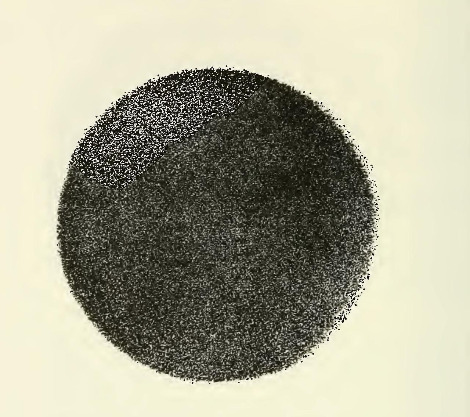 Fig. 13 Gros point forme pa de petits points.jpg