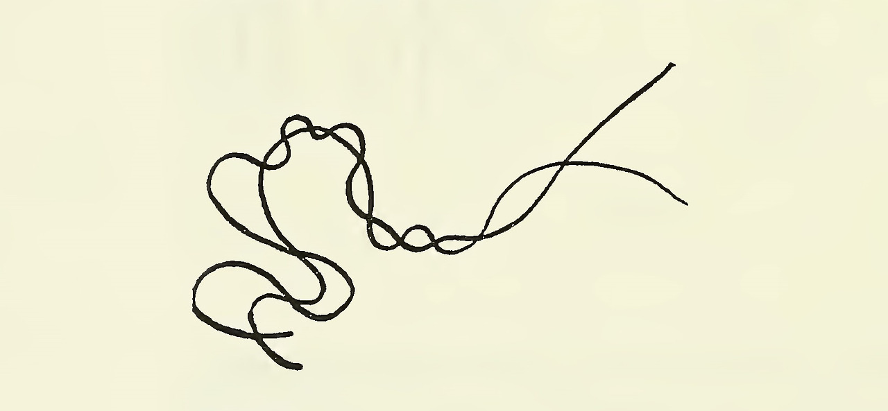 Fig. 63 Curved line running along with each other.jpg