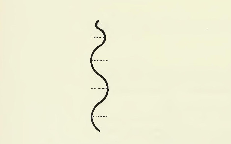 Fig. 46 Curve--geometric wave-like.jpg