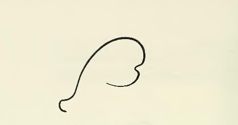 Fig. 45 Curve--free wave-like.jpg