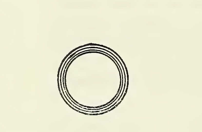 Fig. 54 Opposed repetition of a curved line, repeated plane formation.jpg