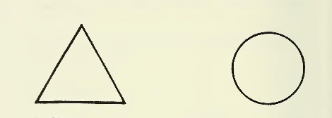 Fig. 38 the primary contrasting pair of planes.jpg