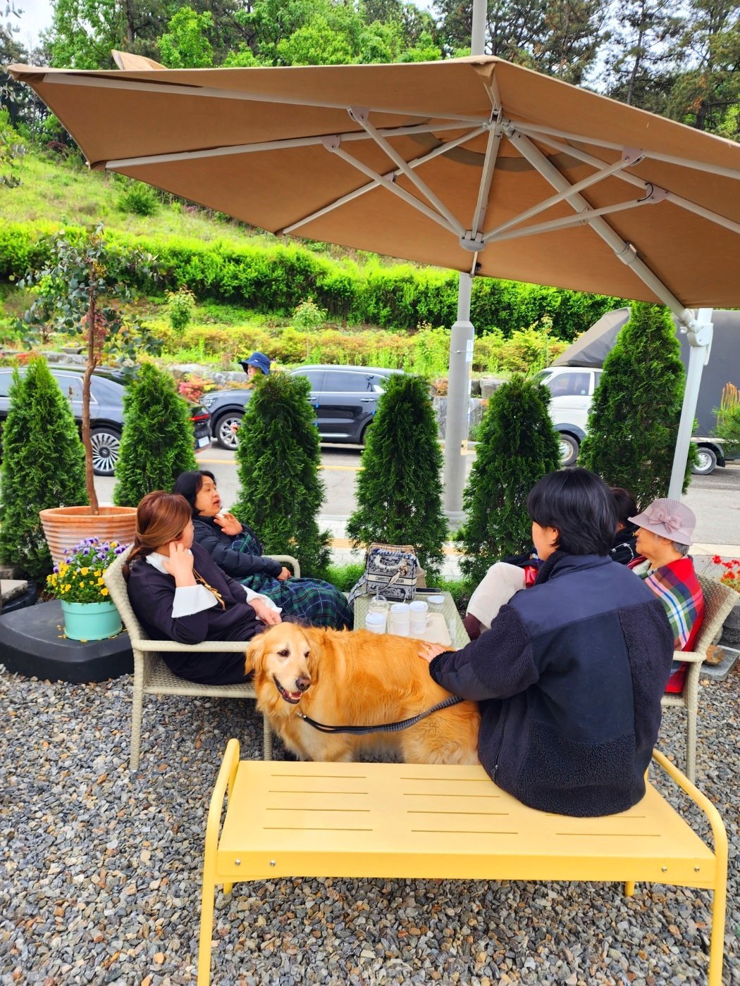 KakaoTalk_20250315_164236715_17 (1).jpg