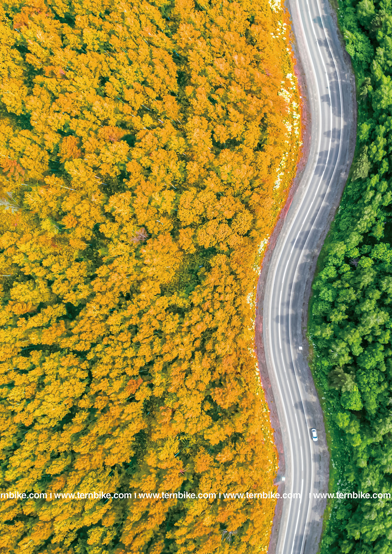 턴 바이크 회사 소개 브로셔 대첩 후 자료 저장용 20230713.jpg