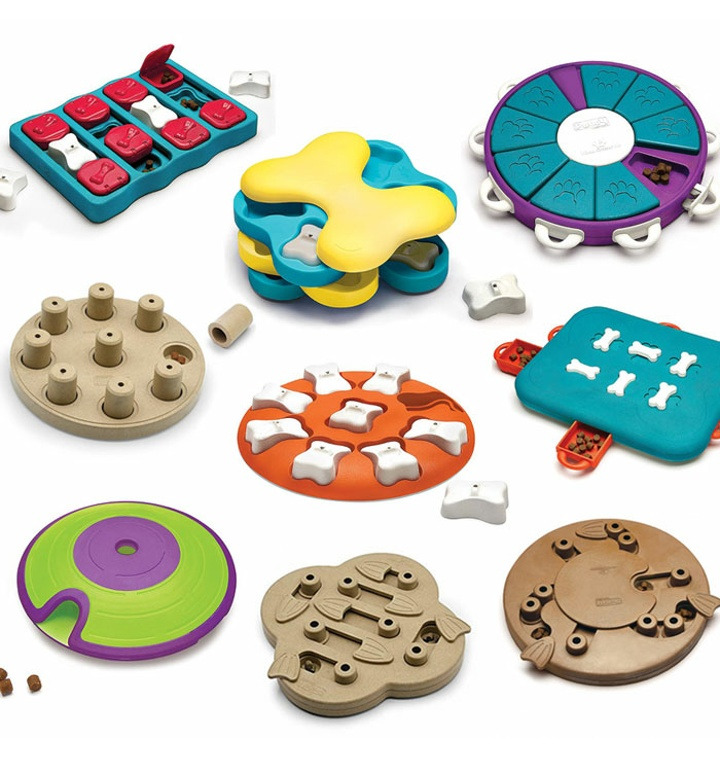 강아지 장난감 니나오토슨 전주강아지유치원 고마워복실아 훈련 교육505.jpg