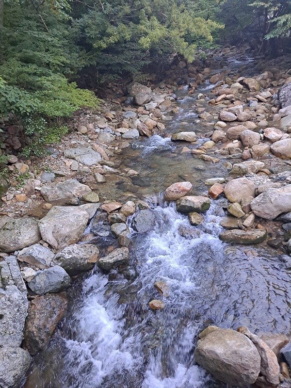 20210828_185245 (1).jpg