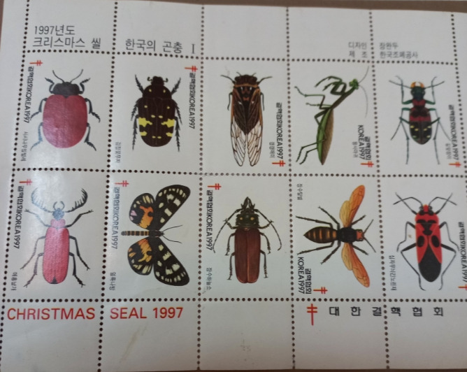 SE-14ff0cc1-8bfd-11ee-8229-0b046e3d7e4a곤충 실.jpg