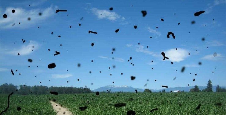 다운로드 (2).jpg