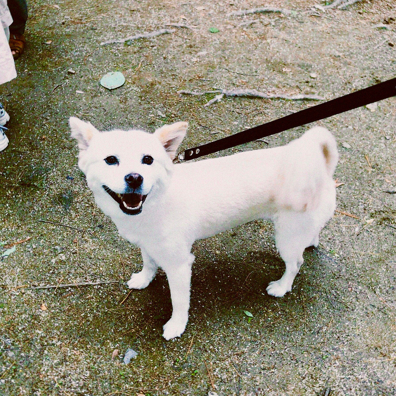 classicu 2023-05-07 183904.268.jpg