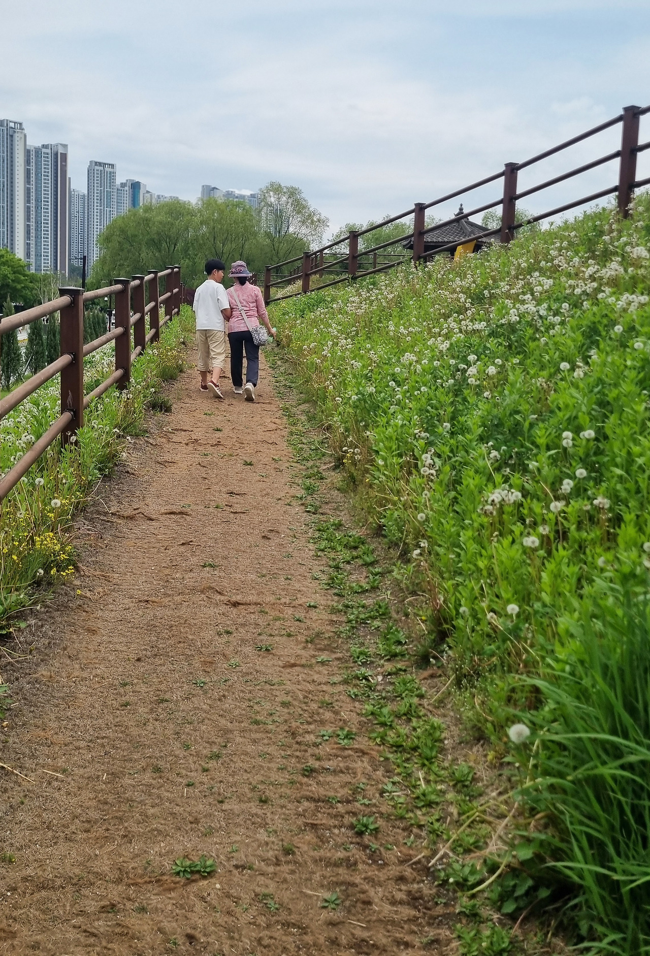 수상한 공조.jpg