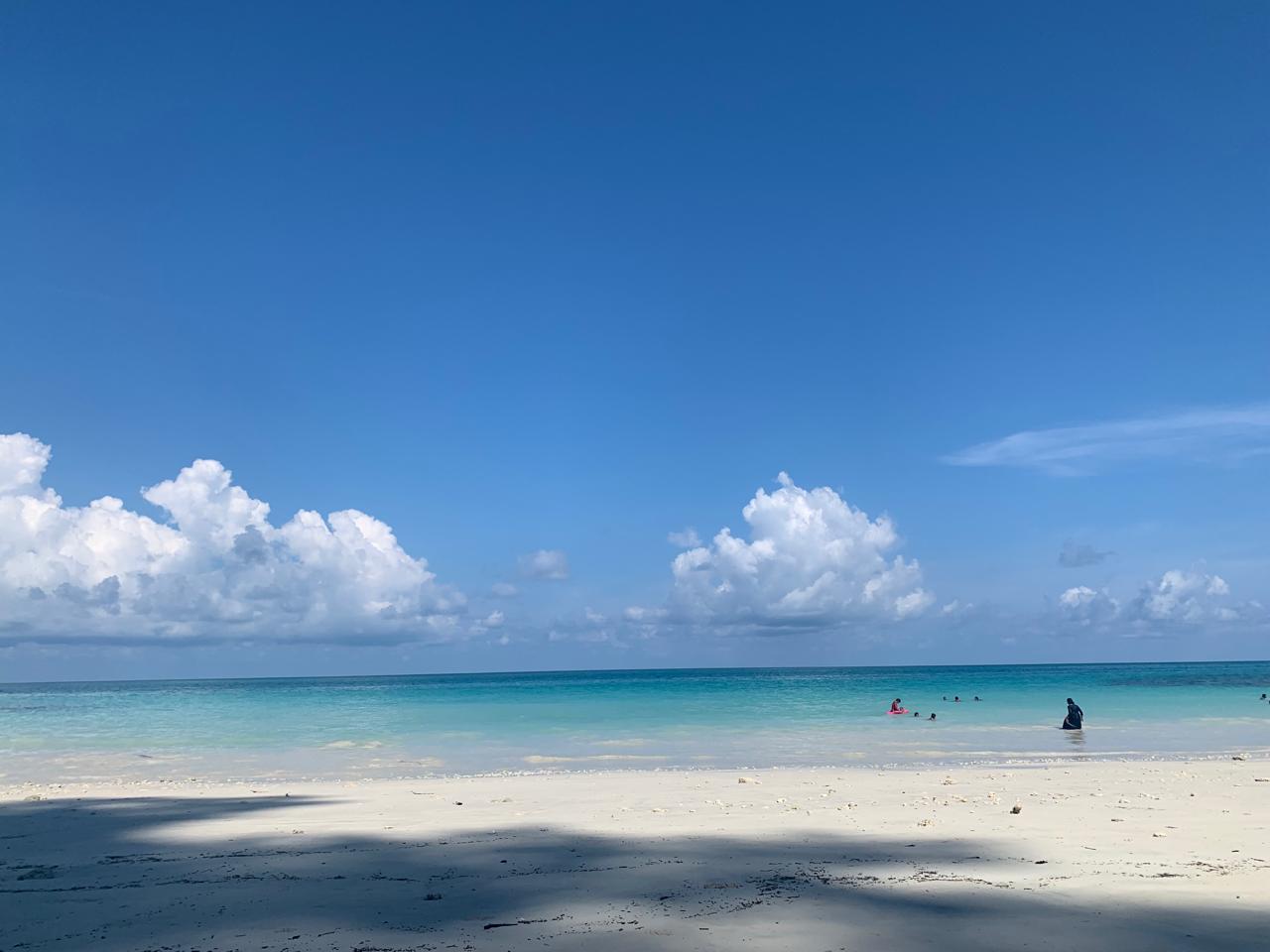 WhatsApp Image 2024-12-09 at 10.03.36_ea610b84.jpg