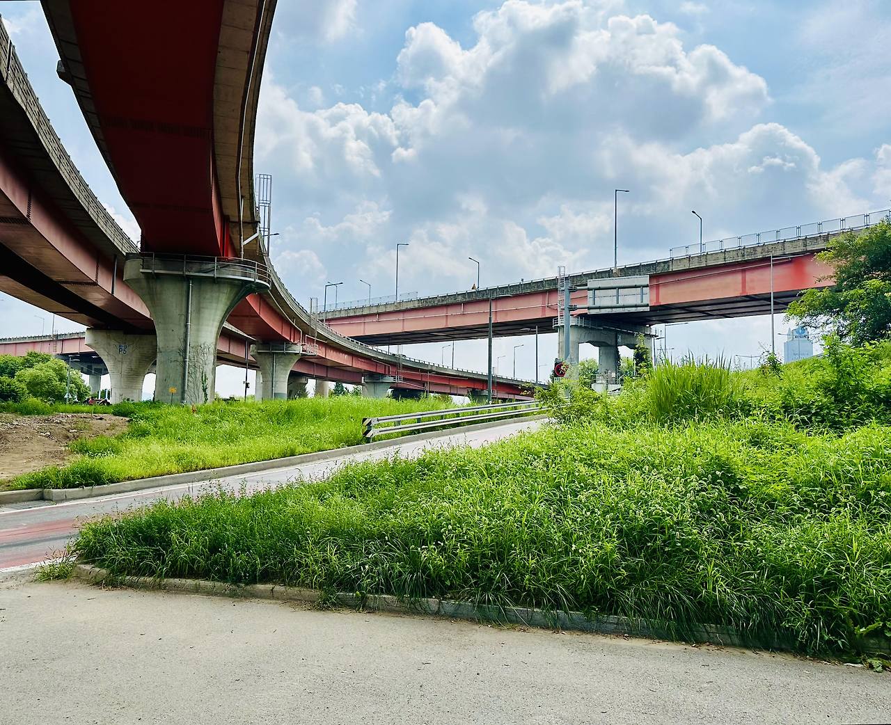 괴물 다리 아래로.jpg