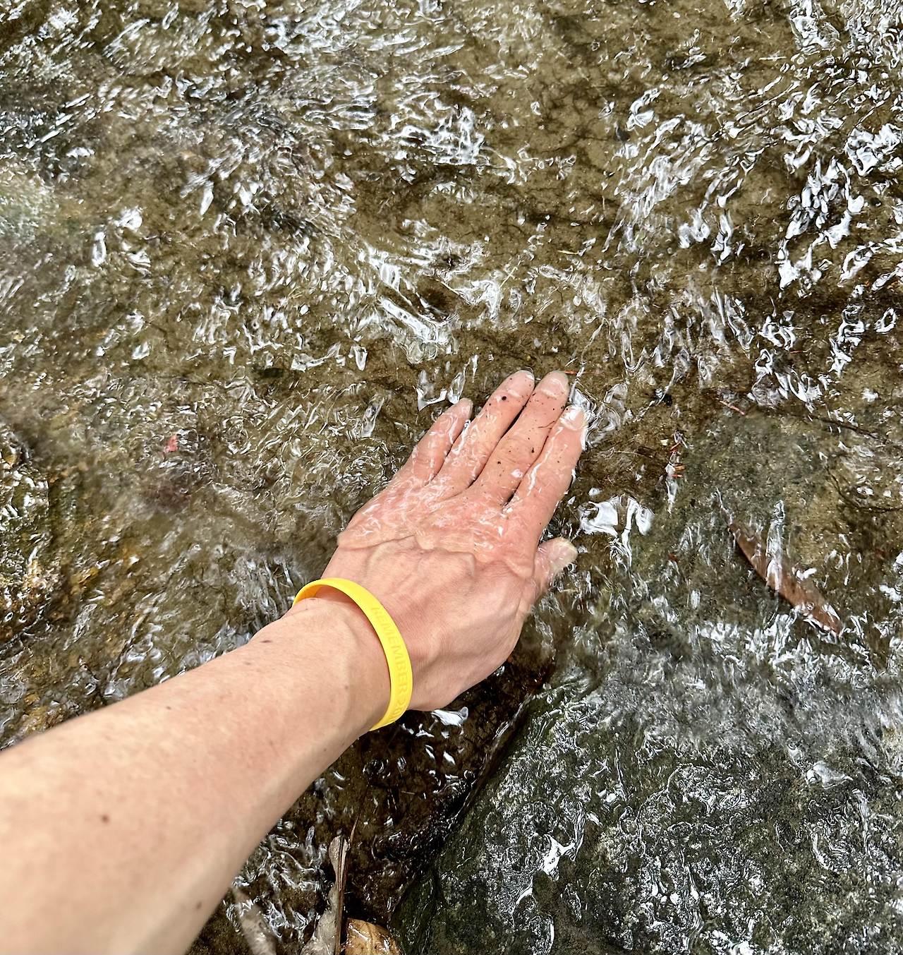 너벌섬 물맞이.jpg