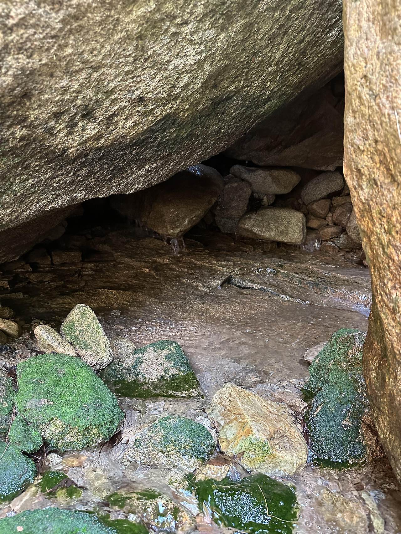 내가 찾은 발원지.jpg