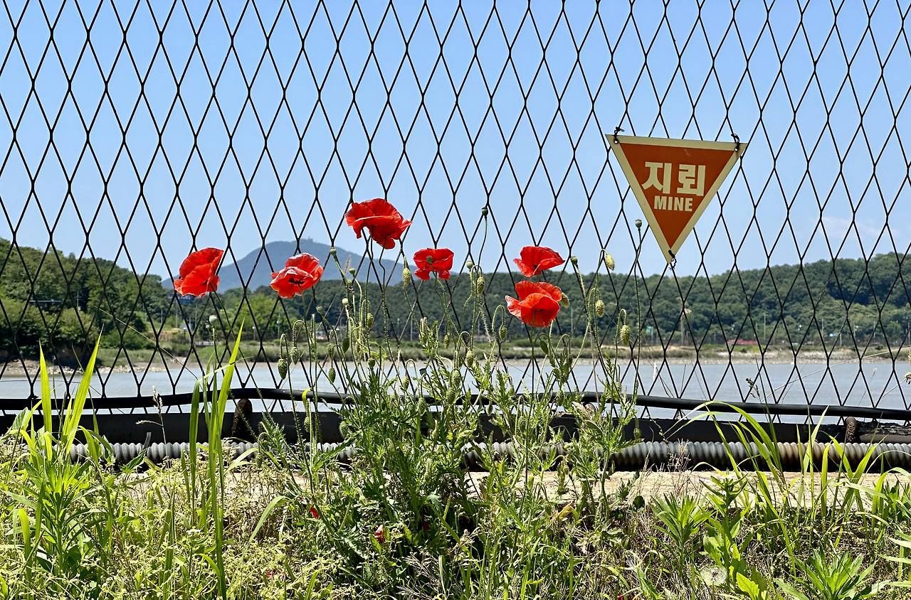 흐르는 바다.jpg