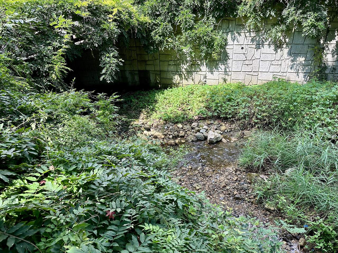 복개 직전 모습.jpg