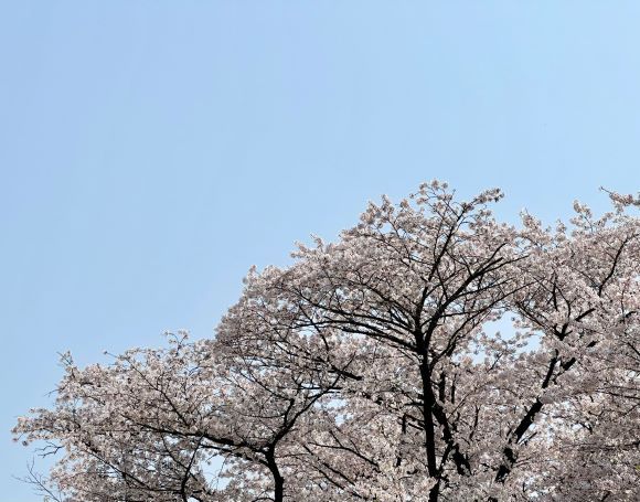 우와산 마루.jpg