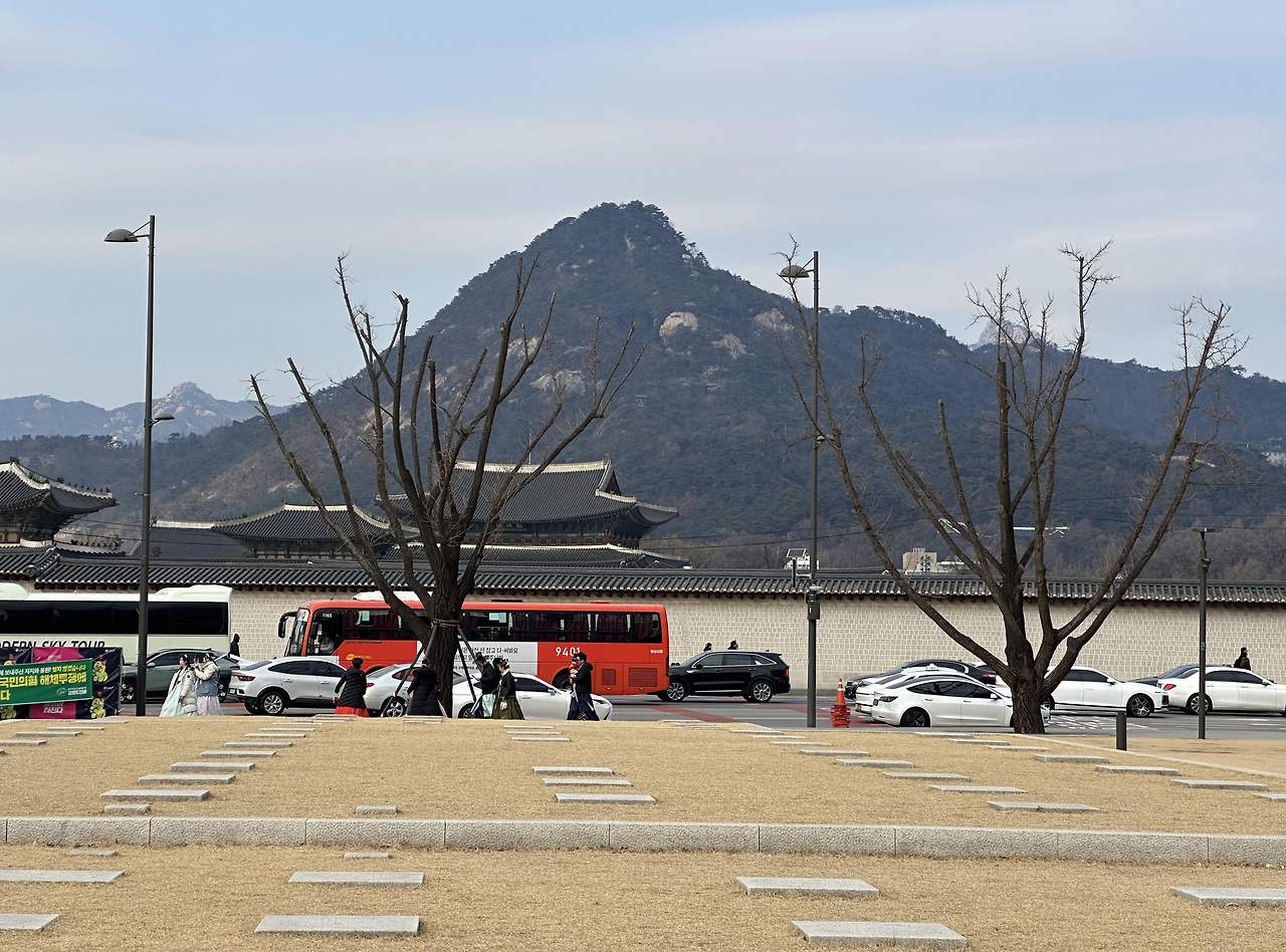 오늘, 광화문.jpg